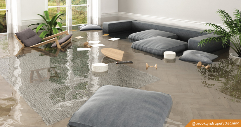 carpet cleaning in brooklyn, carpet cleaning in new york, carpet cleaning brooklyn, carpet cleaners in brooklyn, carpet cleaners in new york, commercial carpet cleaning, commercial carpet cleaning in brooklyn, brooklyn rug cleaners, rug cleaning services in brooklyn, same day carpet cleaning, same day rug cleaning