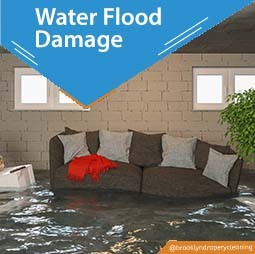 carpet cleaning in brooklyn, carpet cleaning in new york, carpet cleaning brooklyn, carpet cleaners in brooklyn, carpet cleaners in new york, commercial carpet cleaning, commercial carpet cleaning in brooklyn, brooklyn rug cleaners, rug cleaning services in brooklyn, same day carpet cleaning, same day rug cleaning